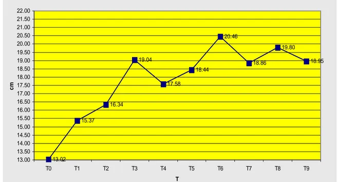 Gráfico 14.  Producción de Materia Seca del Pennisetum sp. a los 135 días bajo la  utilización de diferentes Tratamientos