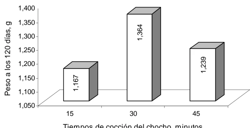 Gráfico  1.  Comportamiento  del  peso  de  los  cuyes  al  suministro  del  extracto  del  chocho  sometido  a  diferentes  tiempos  de  cocción.