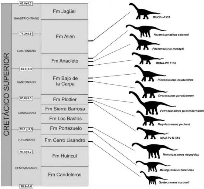 Figura 2. Sucesión estratigráﬁca de las especies y ejemplares mencionados en el texto en el Grupo Neuquén