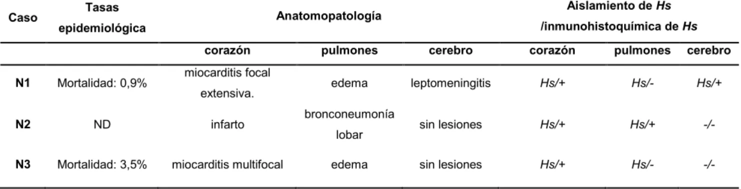 Fig.  4, H&amp;E 40X  Fig. 5  H&amp;E 100X  Fig. 6  IHQ- H somni  40X 