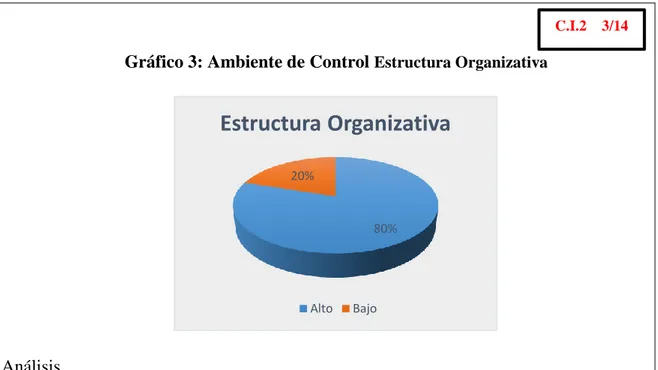 Gráfico 3: Ambiente de Control  Estructura Organizativa 