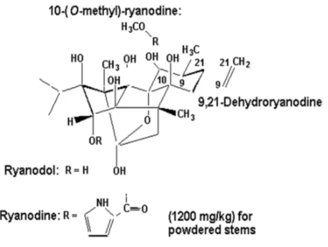 FIGURA N°  5  ESTRUCTURA DE LA RIANODINA 