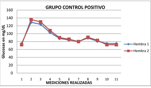 GRÁFICO Nº5.  GLICEMIA EN mg/dL DEL GRUPO CONTROL POSITIVO. 