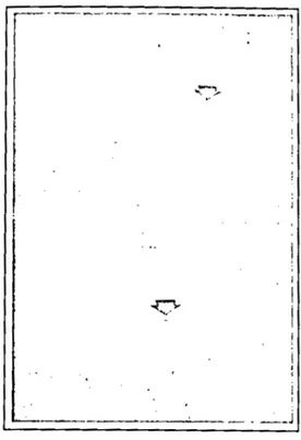 FIG URA  1.  Electroforelogramas;  a)  Suero  control  de  animal  negativo  a LBE; 