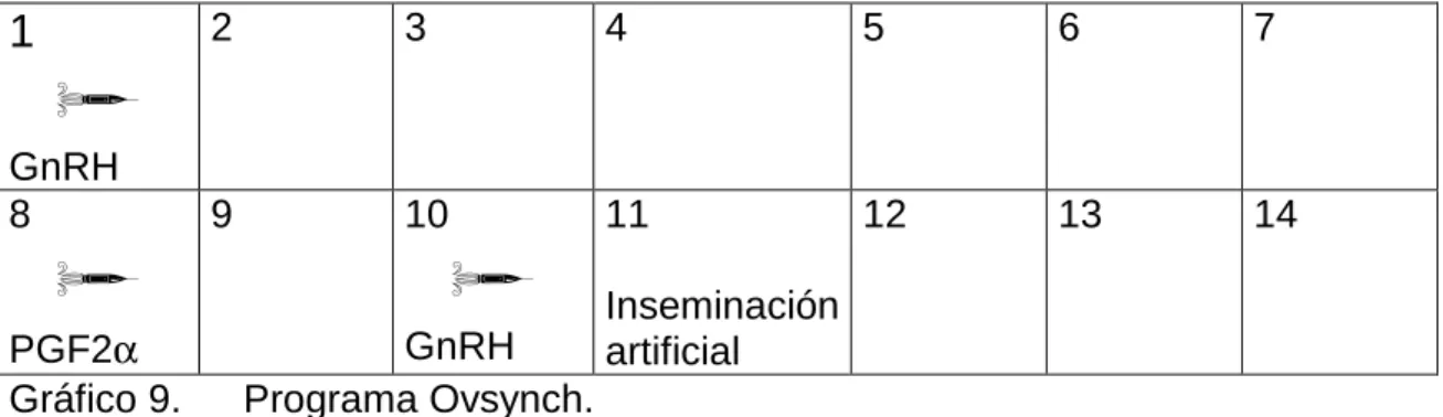 Gráfico 9.  Programa Ovsynch. 