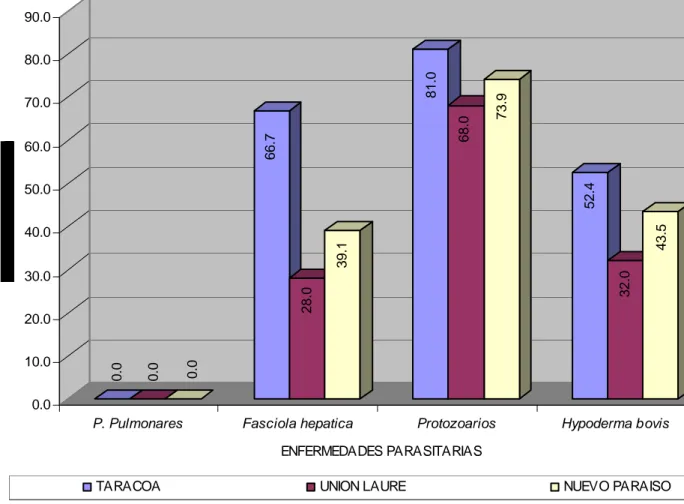 Gráfico  1.      Presencia  de  enfermedades  parasitarias  en  bovinos  adultos  del  cantón  Francisco de Orellana, de acuerdo a la zona geográfica