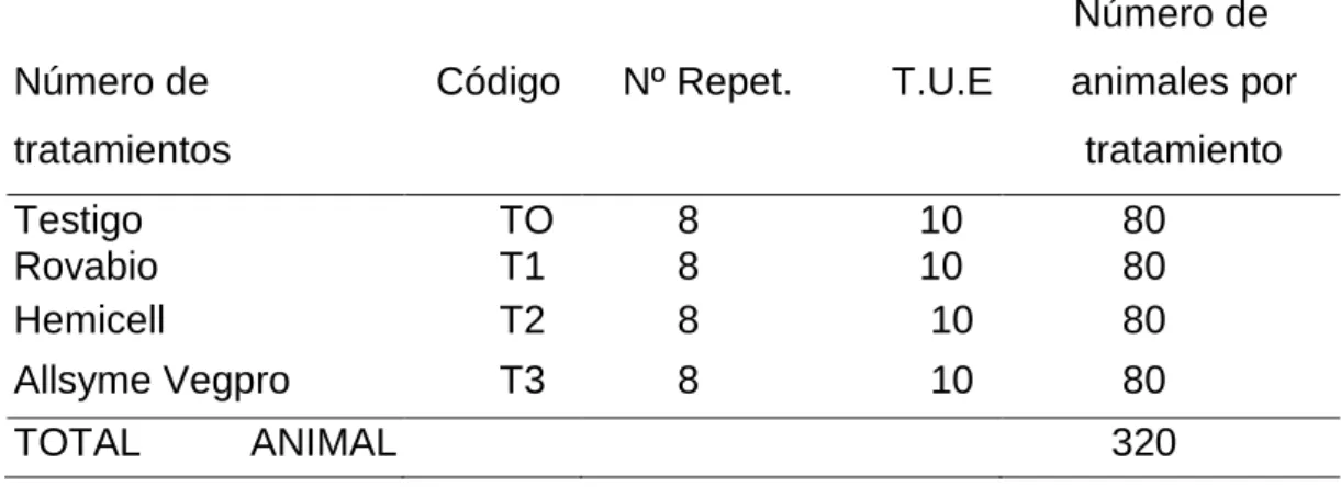 Cuadro 2.  ESQUEMA DEL EXPERIMENTO 