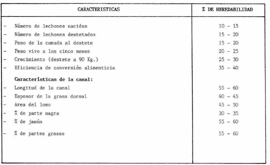 CUADRO  NO  5 