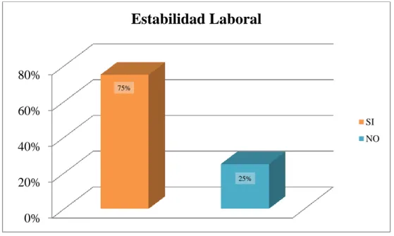 Gráfico Nº 8: Estabilidad Laboral 