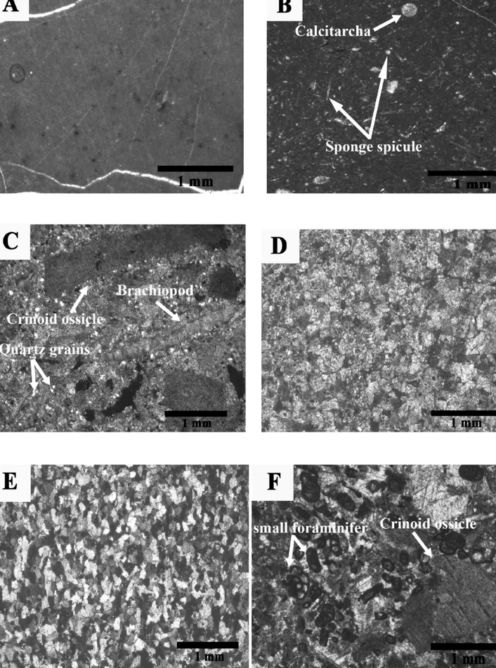 Figure 5. Photomicrographs of facies types of the Gachal Formation. A: Mudstone, sample GD1