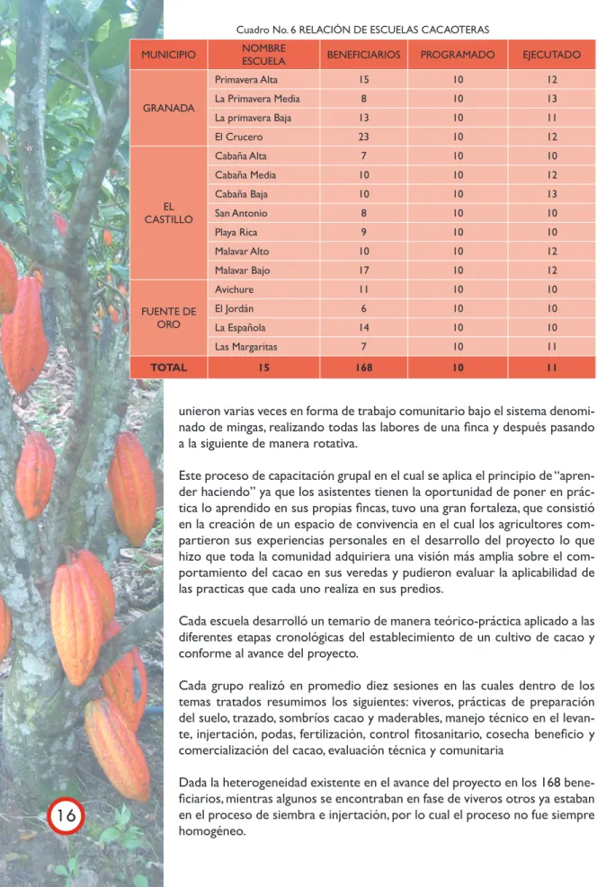 Cuadro No. 6 RELACIÓN DE ESCUELAS CACAOTERAS