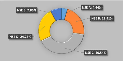 Figura 25. Distribución de los NSE en Lima 2017. 