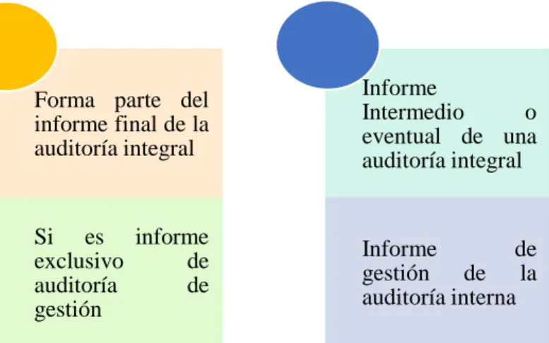 GRÁFICO  N° 8: Tipos de Informe de una Auditoría de Gestión 