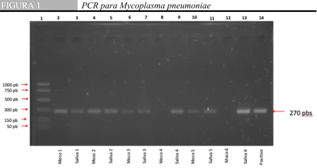 FIGURA 1  PCR para Mycoplasma pneumoniae 