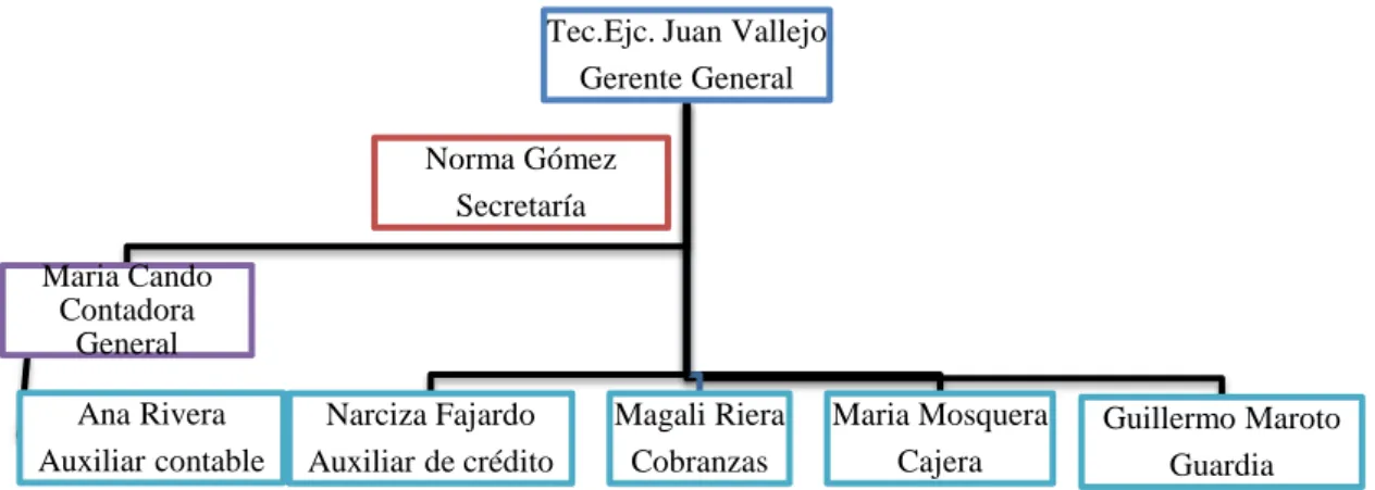 Gráfico 4: Organigrama de Cooperativa 