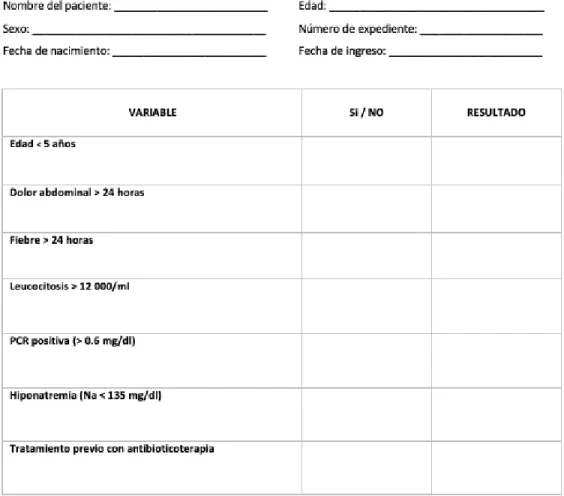 Figura 1: Formato de recolección de datos.    