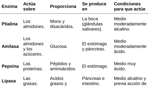 Cuadro 8. LAS ENZIMAS Y SU DIGESTIÓN 