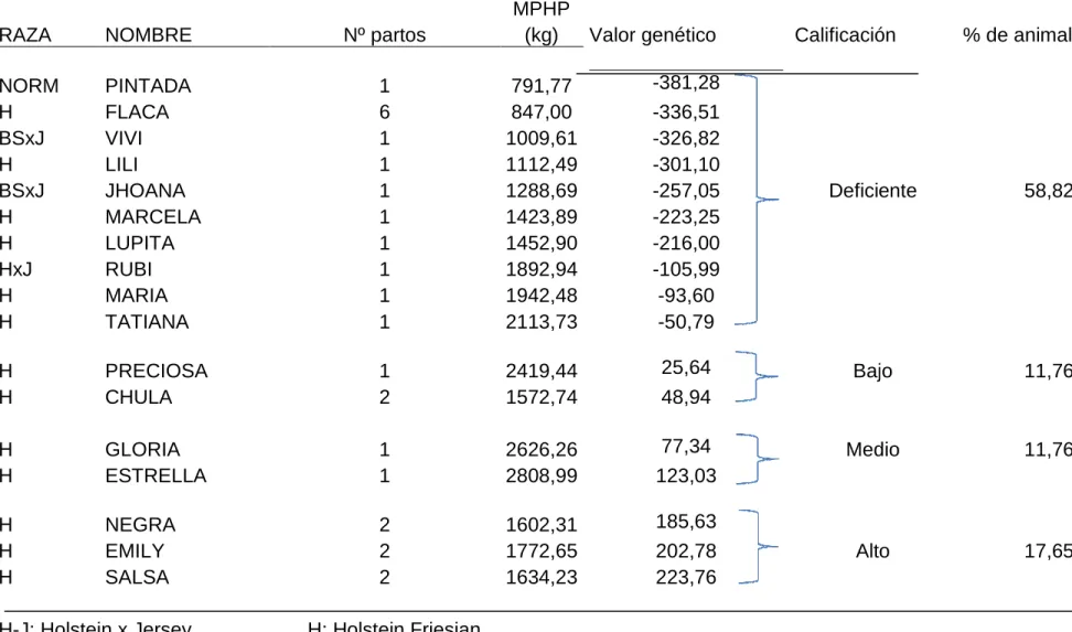 Cuadro 8.  CALIFICACIÓN DEL VALOR GENÉTICO DEL HATO LECHERO DE  LA 