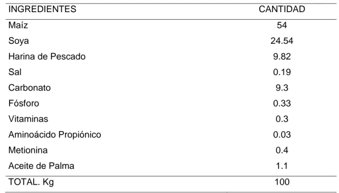 Cuadro  6.  ESQUEMA DEL EXPERIMENTO. 