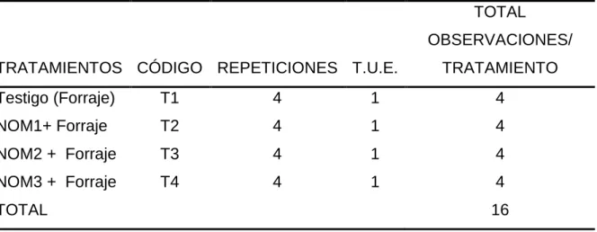 Cuadro 10.  ESQUEMA DEL EXPERIMENTO. 