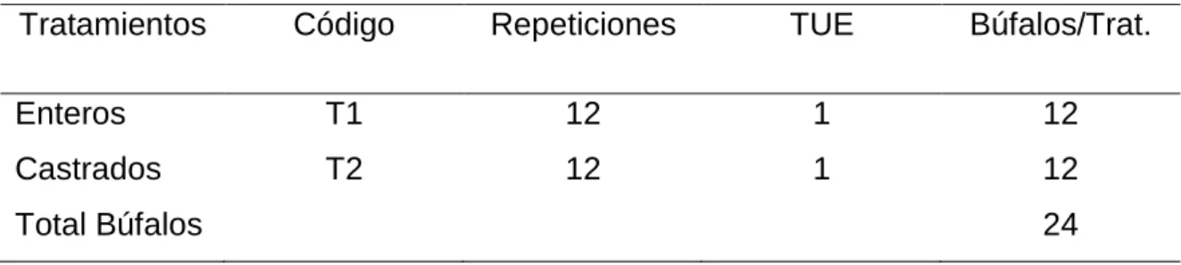 Cuadro  9. ESQUEMA DEL EXPERIMENTO. 