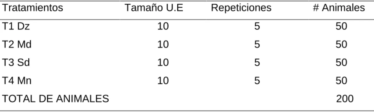 Cuadro 6.  ESQUEMA DEL EXPERIMENTO 