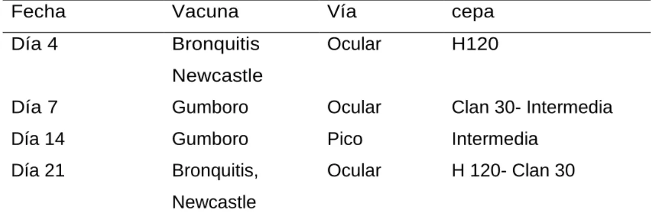 Cuadro 7.  CALENDARIO DE VACUNACIÓN  