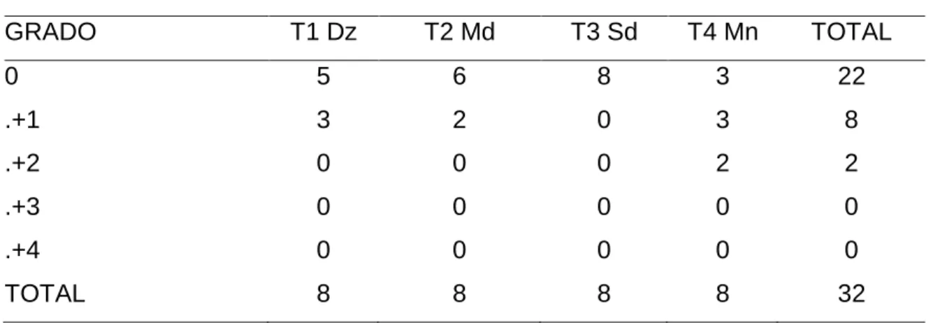 Cuadro 13.  SCORE DE LESIONES DIGESTIVAS A LOS 28 DÍAS. 