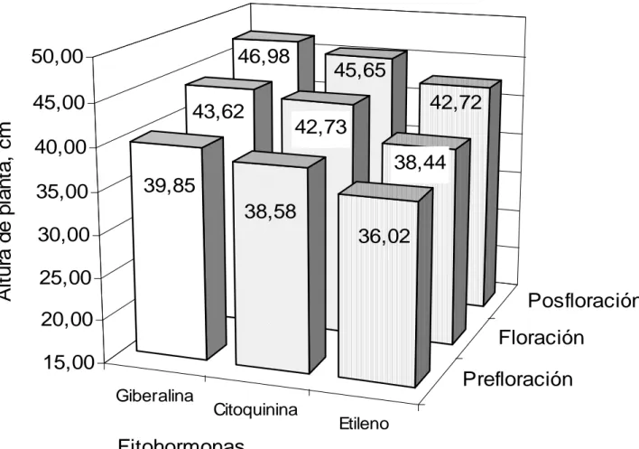 Gráfico 2.   Altura  de  la  planta  (cm)  del  pasto  Poa  palustris  en  las  fases  de  prefloración,  floración  y  posfloración  por  efecto  de  la  aplicación  de  diferentes tipos de fitohormonas