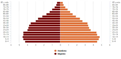Figura 1.  Población por edad y sexo en México (2015). 