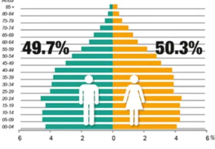 Figura 2. Población por edad y sexo en Monterrey, Nuevo León (2015). 