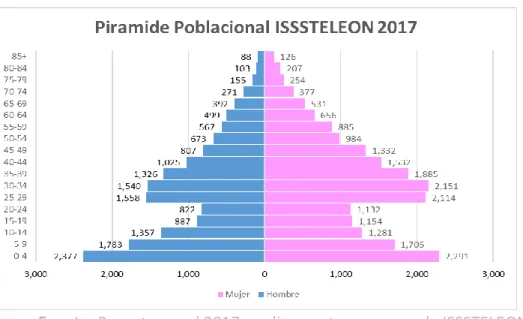 Figura 3. Población por edad y sexo en ISSSTELEON (2017). 