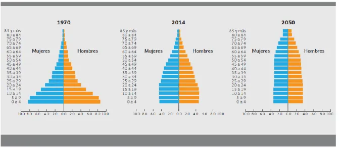 Figura 4. Estructura de la población por edad y sexo en México. 