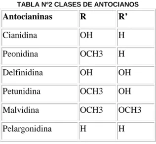 TABLA Nº2 CLASES DE ANTOCIANOS 