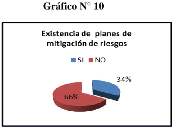 Gráfico N° 11                       