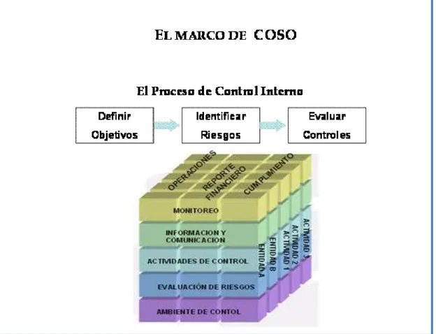 FIGURA  Nº 06 PROCESOS  DEL COSO