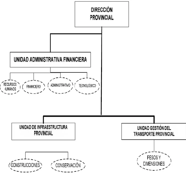 Gráfico Nº  17 Estructura orgánica de la dirección provincial 