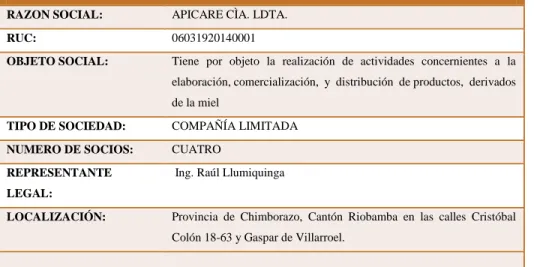 Cuadro No. 1 Extracto de la Empresa  
