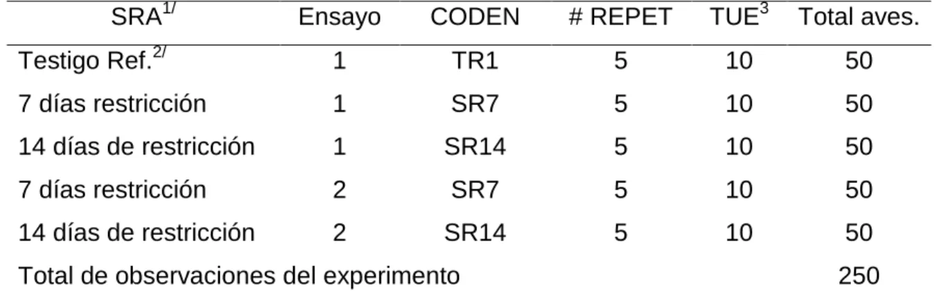 Cuadro 11.  ESQUEMA DEL EXPERIMENTO PARA CADA ENSAYO. 