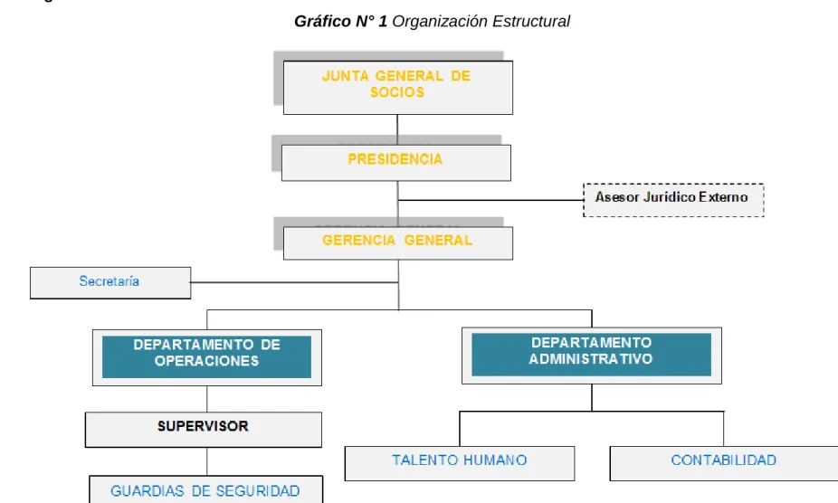 Gráfico N° 1 Organización Estructural 