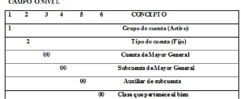 Ilustración 4: codificación 