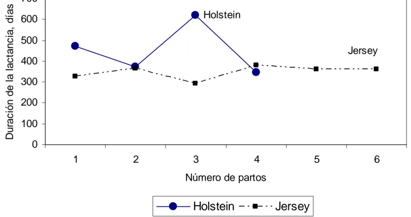 Gráfico 5.  Duración  de  la  lactancia  (días)  de  las  vacas  de  la  Hacienda  “La  Isabela  de  Sasapud”,  de  acuerdo  al  grupo  genético y número de partos