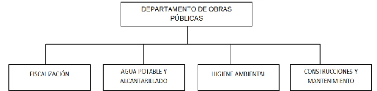 GRÁFICO N° 08 