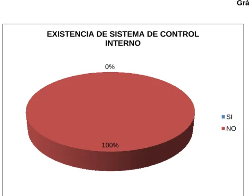 Gráfico N° 12 