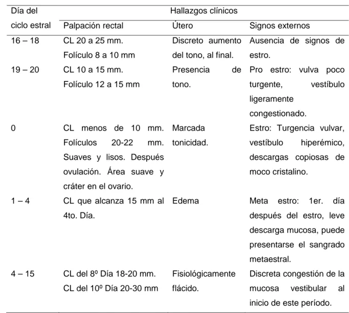 Cuadro 3.  CARACTERÍSTICAS  INTERNAS  Y  EXTERNAS  DEL  CICLO  ESTRAL BOVINO. 