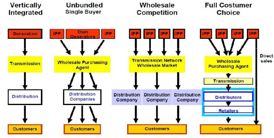 Figure 1: Liberalization of Electricity Market and enhancement of customer choice 