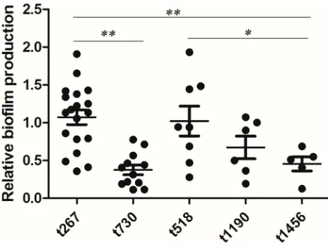 Figure 1 Boxplots of the in vitro bioﬁlm production of Staph. aureus strains of themajor spa types (n≥5)