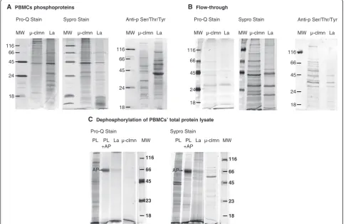 Figure 2 Comparison between lanthanum and micro-column PBMCs’ phosphoprotein profiles