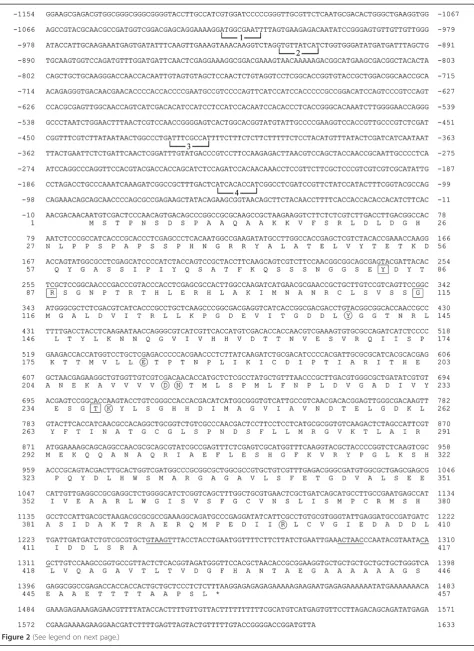 Figure 2 (See legend on next page.)