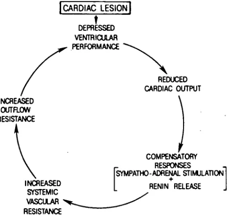 FIG 6.1 EFFECT OF AFTERLOAD ON CARDIAC FUNCTION: 